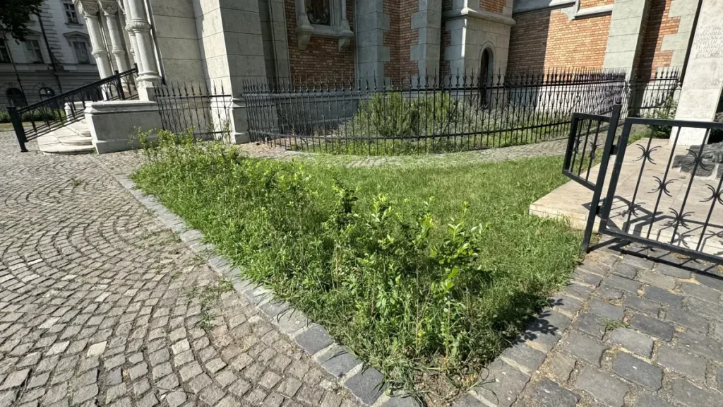 Az Assisi Szent Ferenc-plébániatemplom templomkertje, részlet. A MOL Új Európa Alapítvány Zöld Oázis pályázatához készült dokumentáció