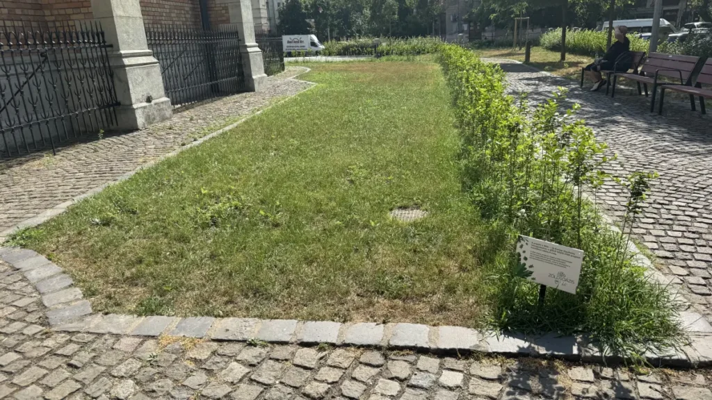 Az Assisi Szent Ferenc-plébániatemplom templomkertje, részlet. A MOL Új Európa Alapítvány Zöld Oázis pályázatához készült dokumentáció